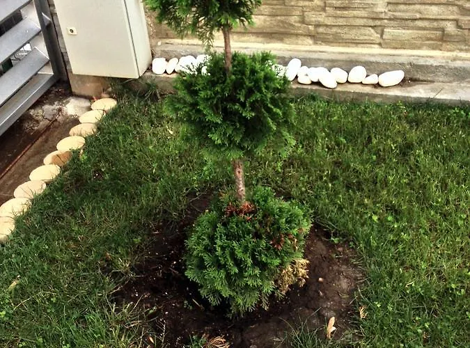 Marinii 3* 布加勒斯特